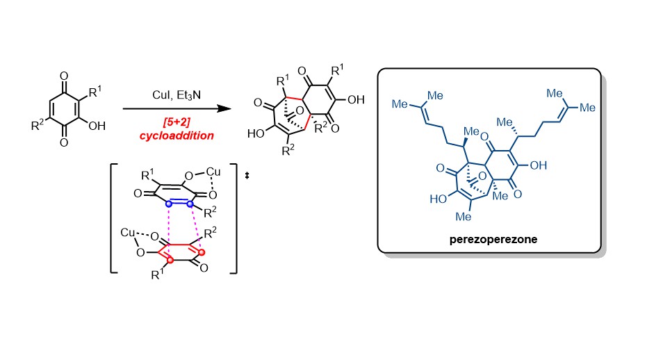 Total Synthesis Oriented Methodology Development.