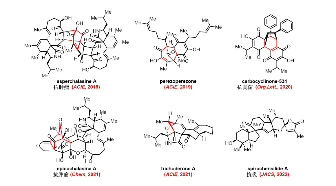 Natural Products Total Synthesis.